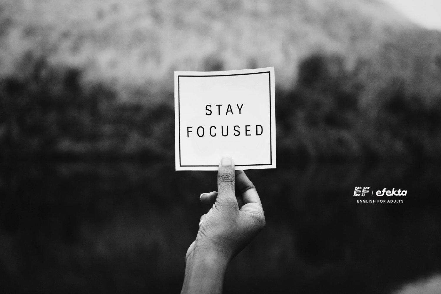 Quotes Motivasi Singkat yang Menginspirasi untuk Menjalani Hari dengan Lebih Positif – EF EFEKTA English for Adults